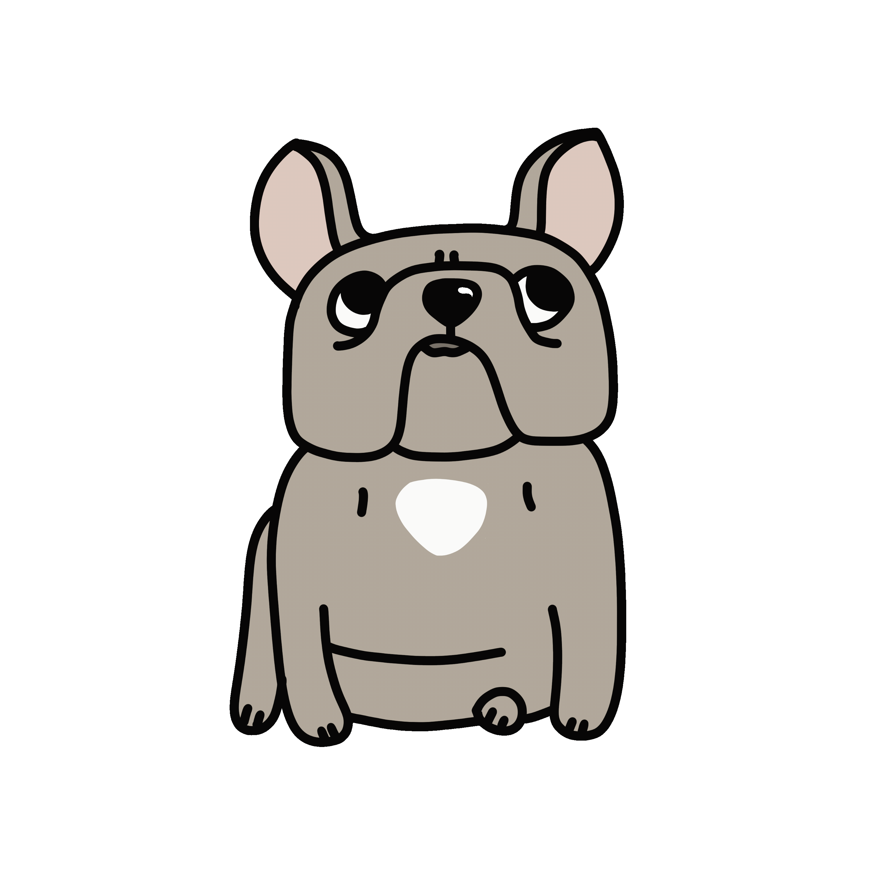 Pluto Markets, tegnet hund, motion graphic